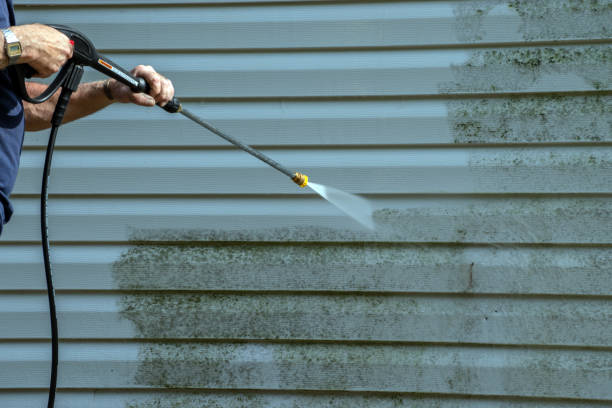 Best Garage Pressure Washing  in Taylorsville, KY